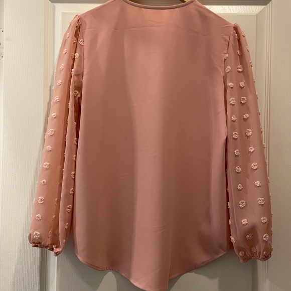 Gorgeous pink V neck long sleeve chiffon blouse NWOT - Picture 2 of 4
